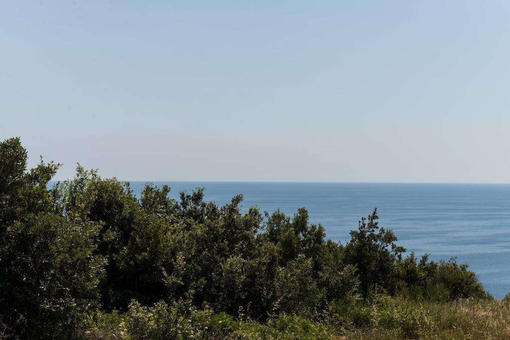 Apartment Semes Cavtat Bagian luar foto